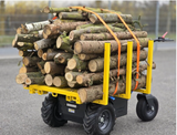 Roaba motorizata electrica Mini dumper RDe550p